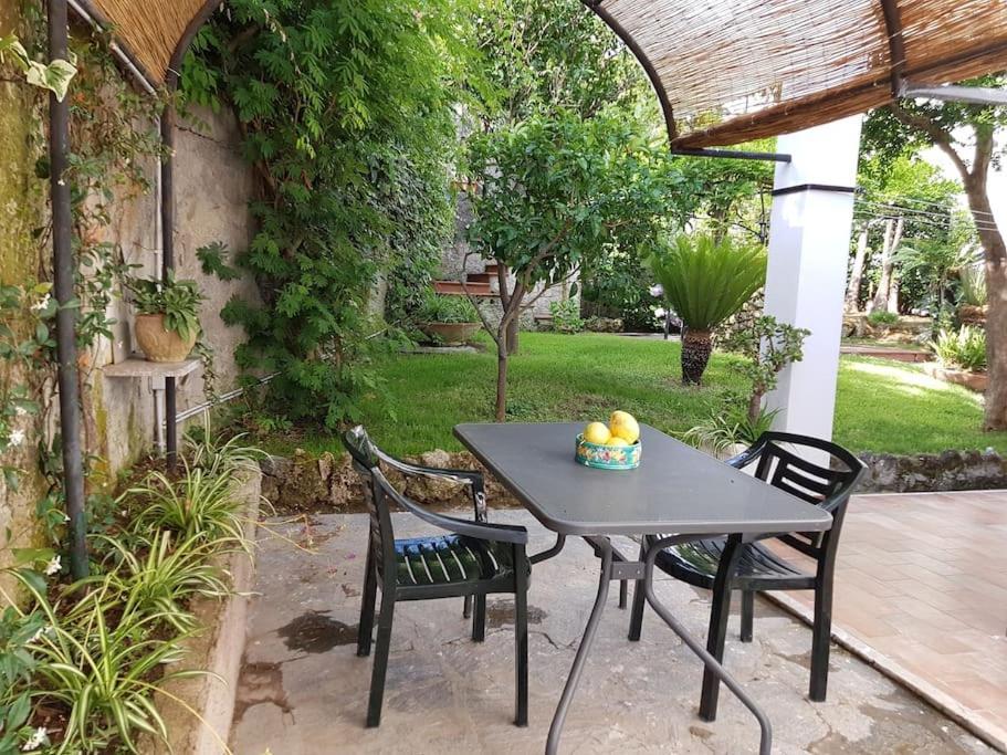 Giardino Mediterraneo Lacco Ameno  Exterior photo