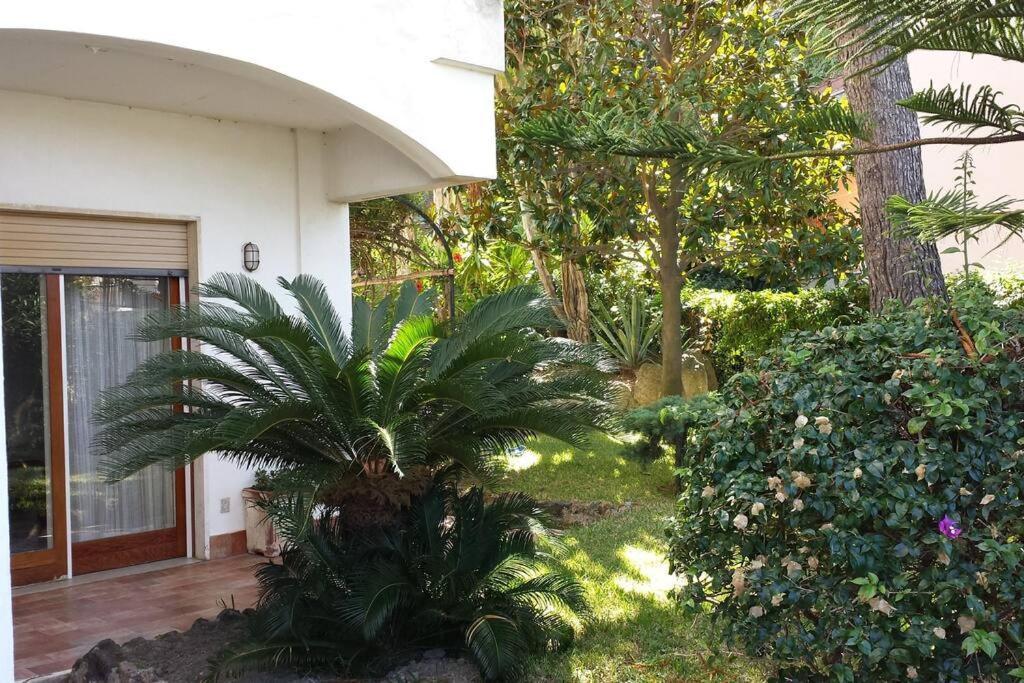 Giardino Mediterraneo Lacco Ameno  Exterior photo
